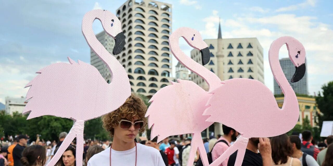 Flamingo Protest